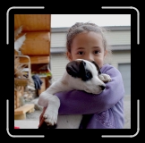 ealy_JeffKingHuskies_CamillePuppy * 1036 x 1024 * (97KB)