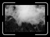 ealy_MendenhallGlacier_MistyForest1 * 900 x 602 * (55KB)