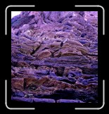 073005_CabrilloBeachRocks-xtrcolor * Koni Rapid OmegaProvia 100F @ EI 10058mm Lens with stepping rings (no noticeable vignetting)1/15th second @ f/5.6Extreme color adjustments in photoshop * 758 x 800 * (369KB)