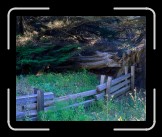 CalibrationTest3 * 800 x 650 * (455KB)